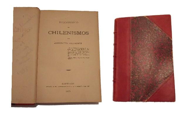 Diccionario de Chilenismos
