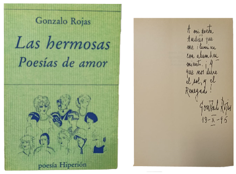 Las Hermosas PoesÃ­as de Amor