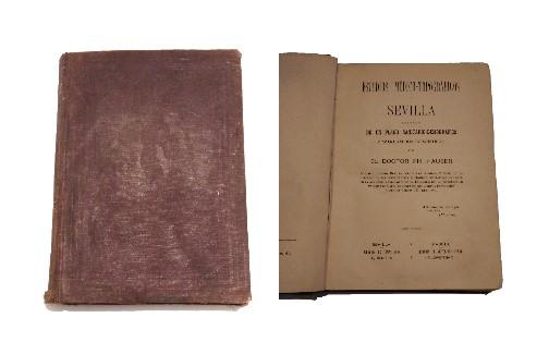 Estudios MÃ©dicos-TopogrÃ¡ficos de Sevilla