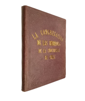 La CongregaciÃ³n de las Hermanas de la Providencia de Chile