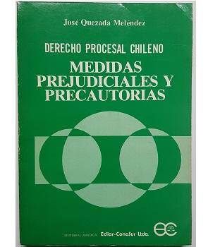 Derecho Procesal Chileno Medidas Prejudiciales y Precautorias