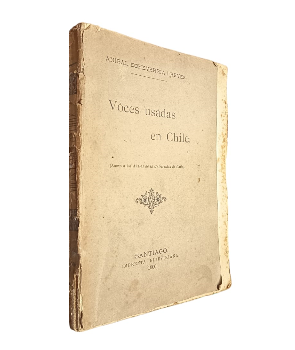 Voces Usadas en Chile 